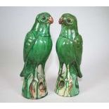 Pair of Parrots, China, Qing Dynasty  1644 to 1912 AD, MinGuo Period