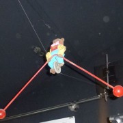 Bear on tightrope