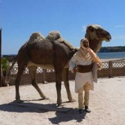 Camel and Camel Driver