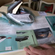 Whales Giants of the Seas. Pop-up book