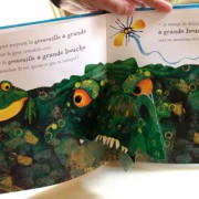 The Frog who had a Big Mouth. Pop-up book
