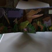In the heart of the night. Pop-up book