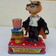 Mr. Fox the Magician