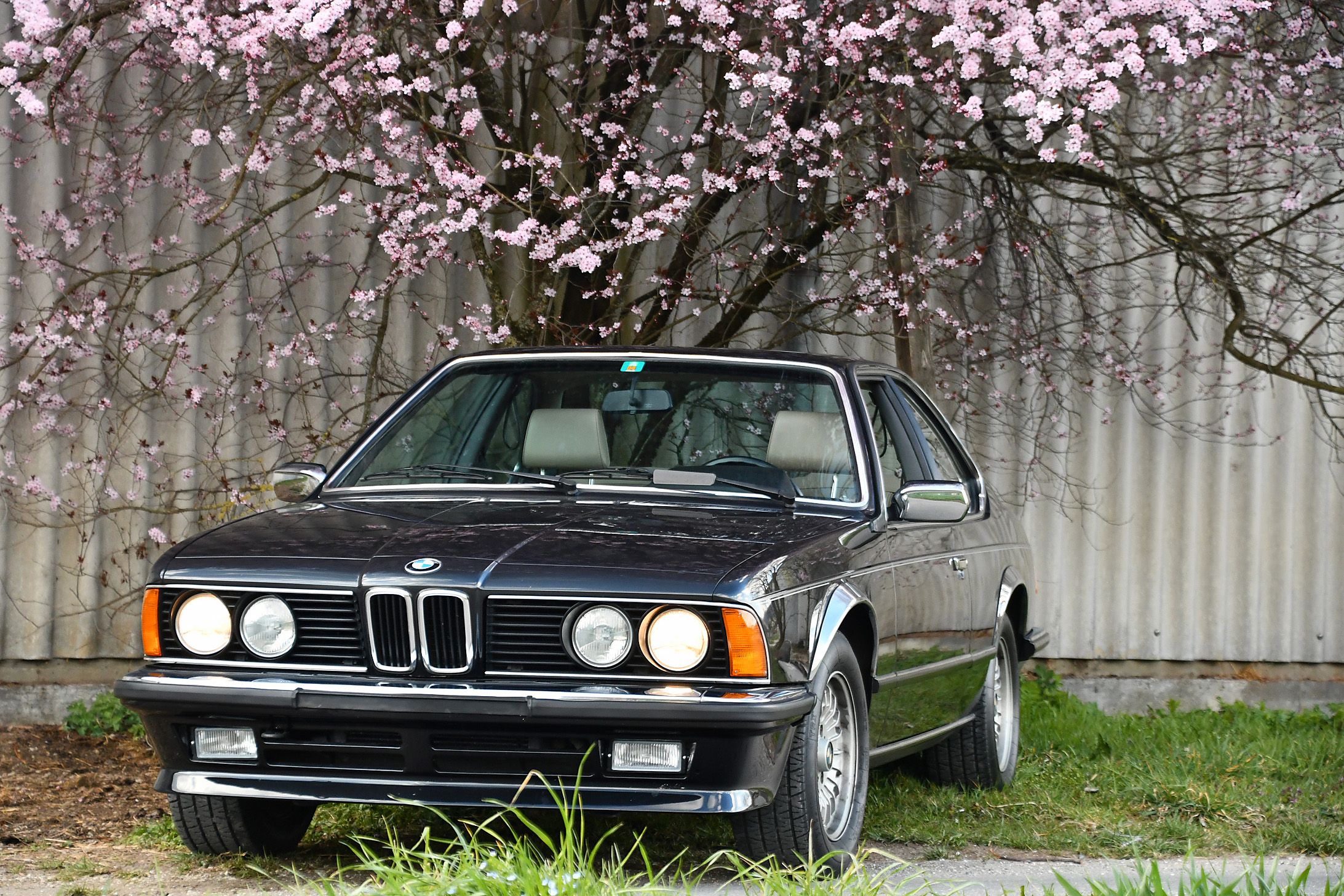 BMW 635 CSi, 1985