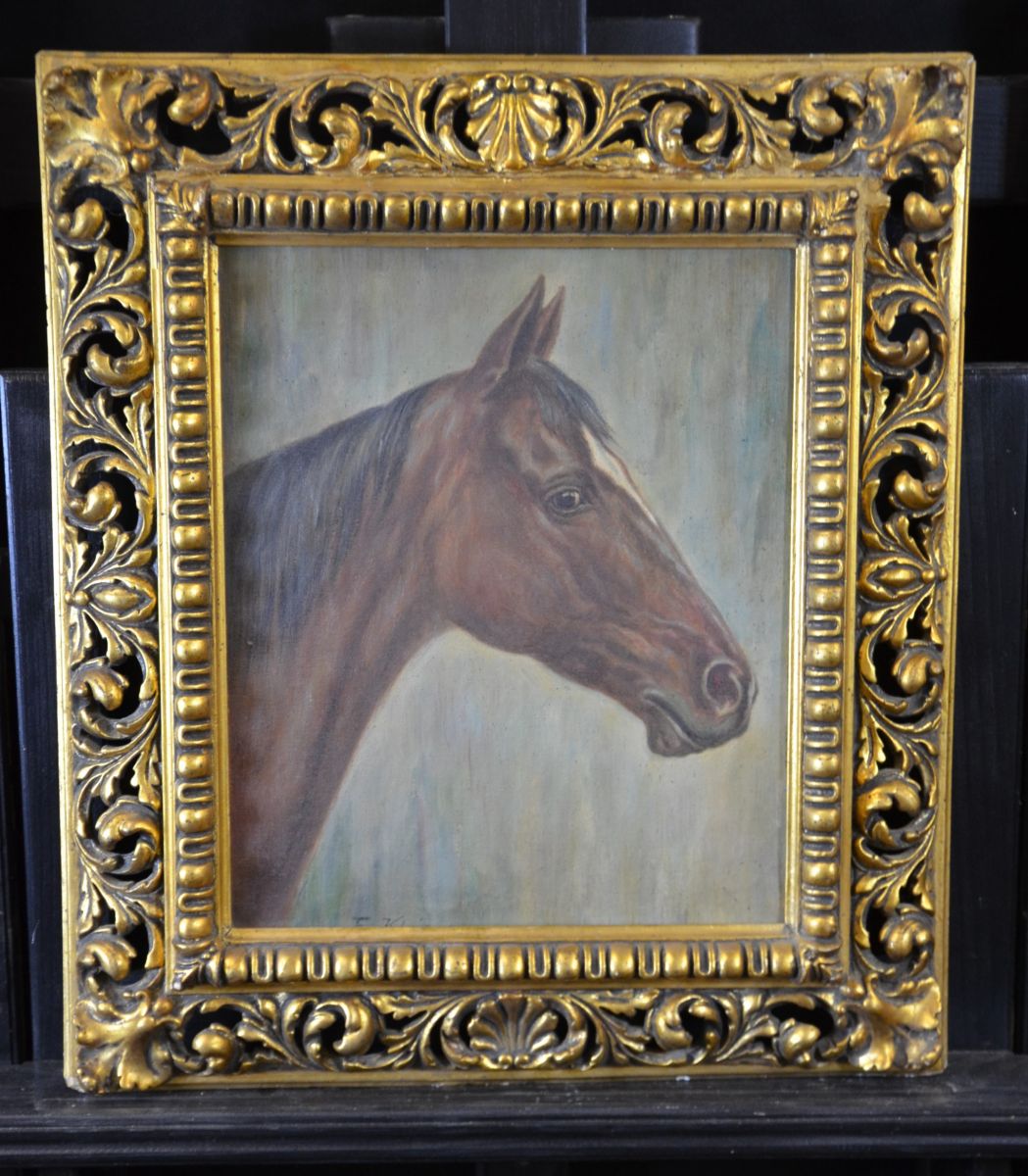 Oil on cardboard Horses head, signed. Carved, gilded frame. 36 x 29cm.