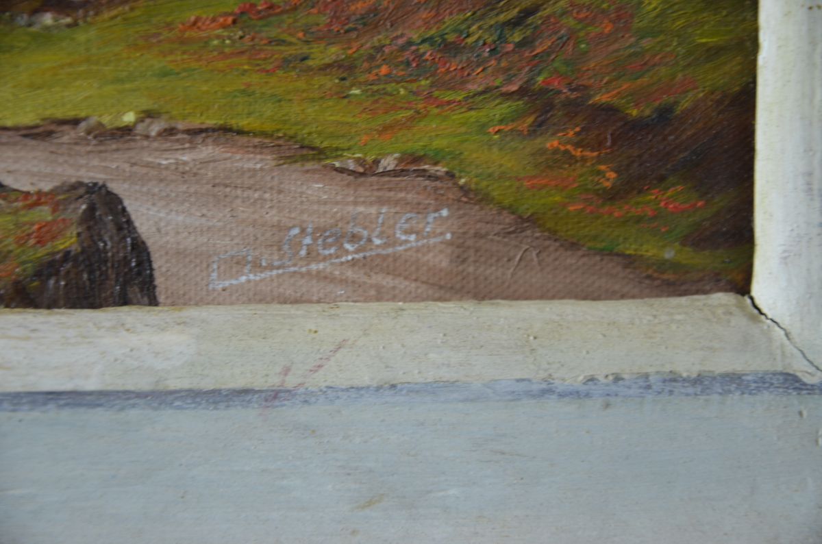 Oil on canvas Mountain landscape, signed. 45 x 58cm.